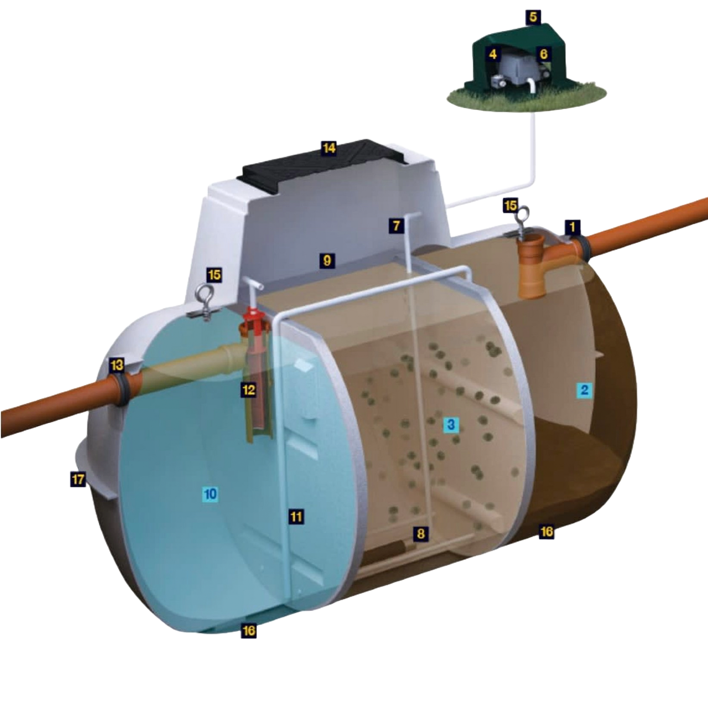 Marsh Sewage Treatment System