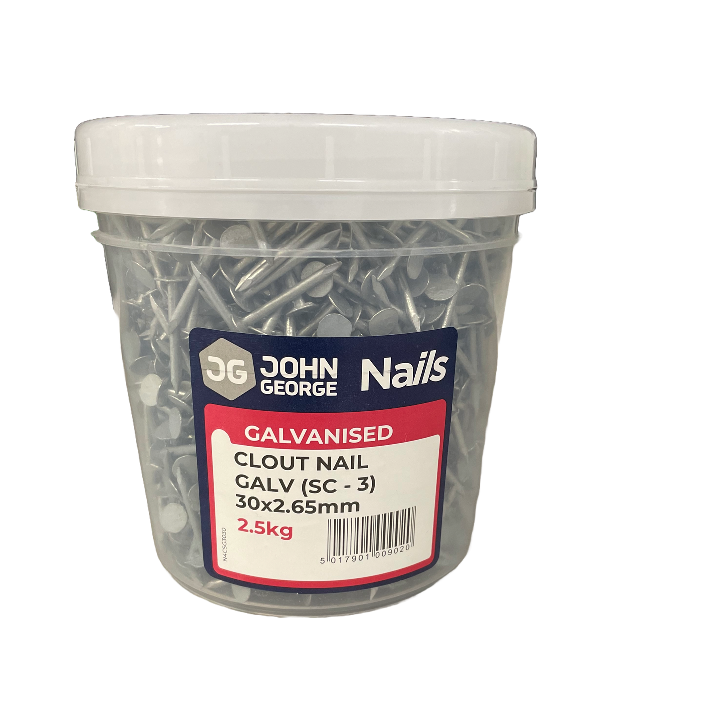 Clout Nail Galv 2.5kg Tub
